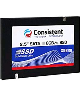 Consistent 256gb Ssd