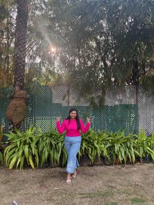 Stylish Blue Floral Capri Pants