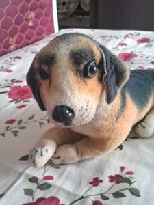 Adorable Plush Dog Toy