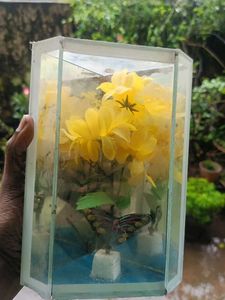 Butterfly &amp; Floral Display Case