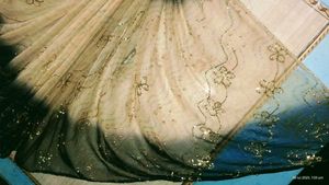 Elegant Saree
