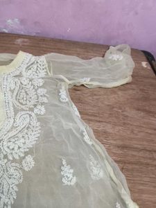 Elegant Lucknowi Chikan Kurta