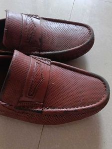 Men Shoe