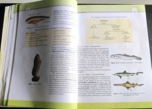 NCERT Class 11 Biology Textbook – Original Edition