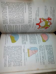 🛑🛑 Complete Anatomy