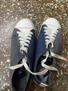 Shoes Roadster