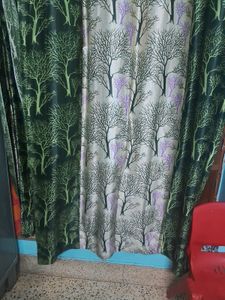 Curtain