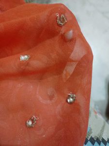 Beautiful  Hand Work Embllished Saree