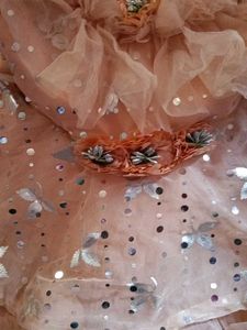 Girls Special Occasion Dress