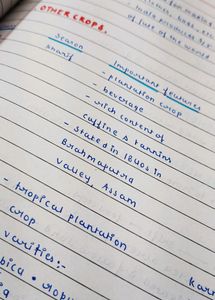 Geography Notes