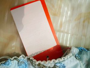 FULLY EMBROIDERED CORSET BRA FROM URBANIC