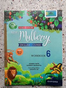 Mulberry English Course Workbook 6