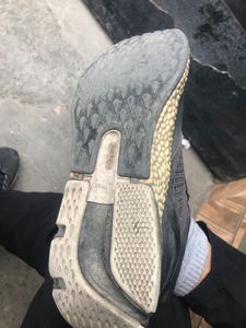 Puma bounce