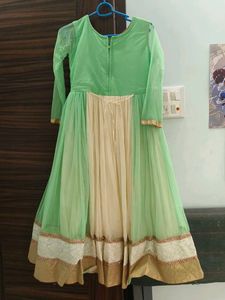 Elegant Ethnic Gown