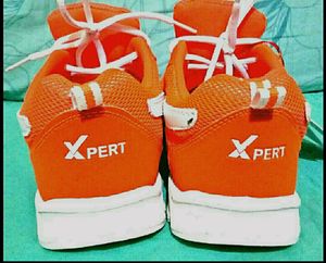 Athletes Sport Shoes for Players