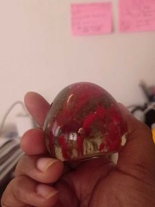 Paper Weight