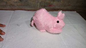 Cute Plush Rabbit Toys