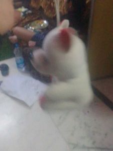 Cute Teddy Bear Plush Toy