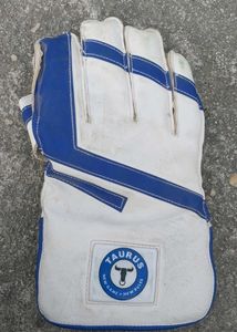 Used Cricket Wicket Keeping Glove