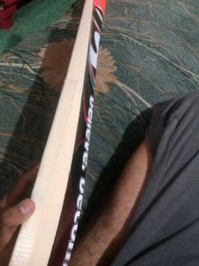 SG Cricket Bat