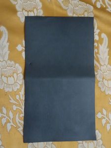 Weel Ab Roller With Knee Mat