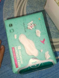 Feminine Hygiene Combo: Period Panties &amp; Pads