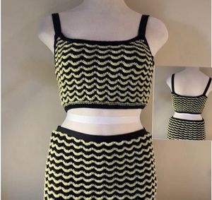 Zara Knit Crop Top & Skirt Set