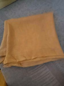 Golden Saree with Embellishments