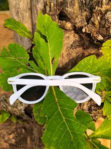 🤍White Sunglasses🤍