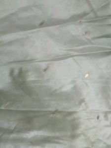 Elegant White Dress ( ANARKALI )