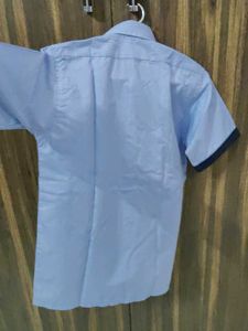 Blue Striped Shirt