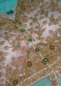 Elegant Lehenga Choli