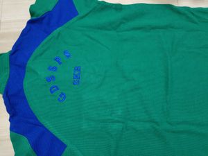Green &amp; Blue Polo Shirt