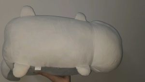 Chonky Husky Squishmallow/ Plush Toy/ Pillow