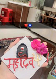 Beautiful Handmade Mahadev Lippan