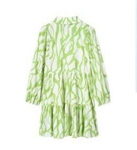 Zara Green Print Dress