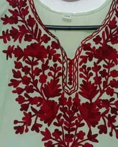 Beautiful Kashmiri Top 💚