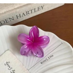 Pinteresty Hair Clips