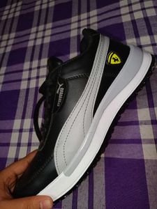 Puma Shoes