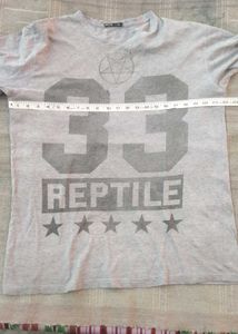 Graphic  Grey  Print T-Shirt