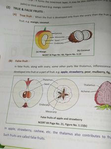 Allen Biology Module
