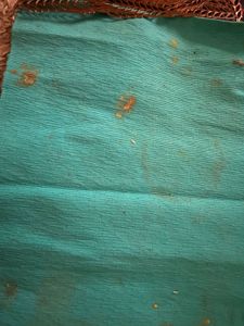 Table Runner