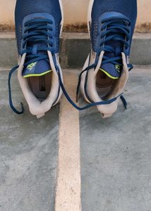 Blue Sport Shoes