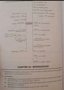 CBSE Class 12 Sample Papers