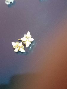 Sparkling Stud Earrings