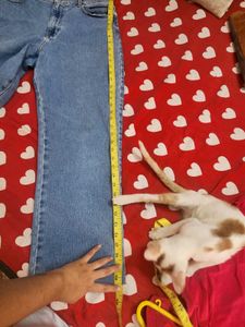Light Wash Denim Jeans