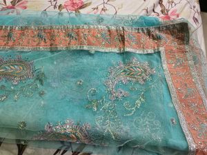 Very Beautiful Net Embroidery Saree Blousepetticot