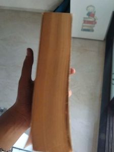 The Echo Man by Richard Montanan