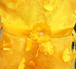 Yellow Net  Girl&#39;s Dress