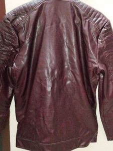Pure Leather With Furr Mens Jacket